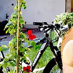 In Monferrato Di Dominga