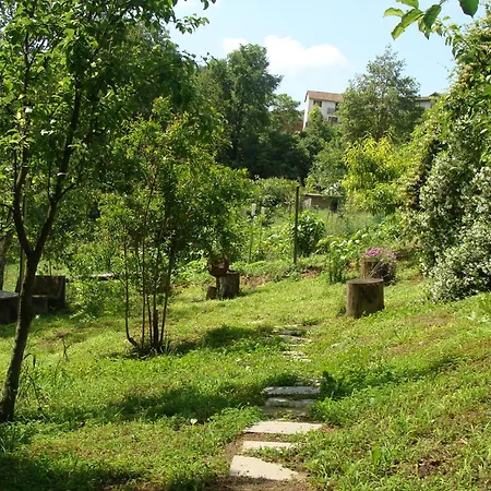 Appartement In Monferrato Di Dominga