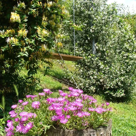 In Monferrato Di Dominga Appartement