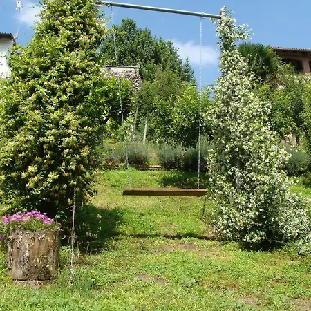 In Monferrato Di Dominga Portacomaro