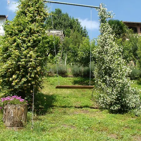 In Monferrato Di Dominga Portacomaro