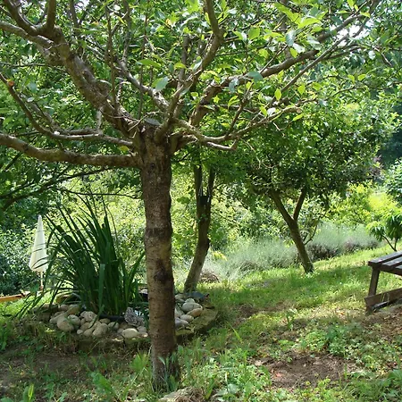 In Monferrato Di Dominga