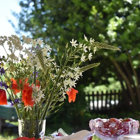 In Monferrato Di Dominga Appartement *