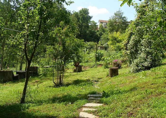 Daire In Monferrato Di Dominga