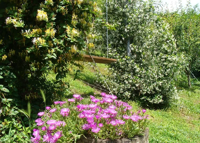 In Monferrato Di Dominga Appartement