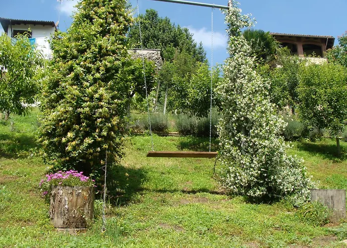In Monferrato Di Dominga Portacomaro