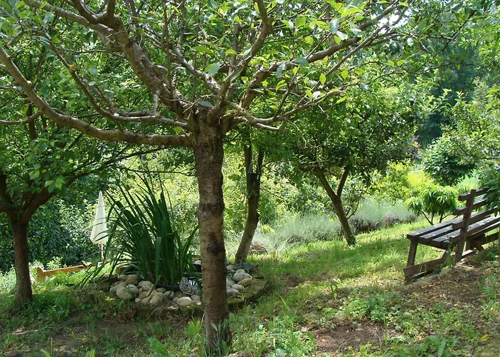 In Monferrato Di Dominga